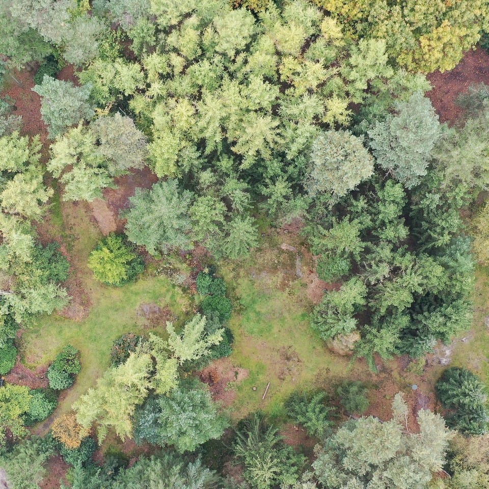 Accommodaties Foto Drone Bos 1