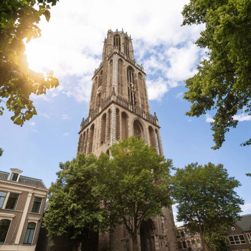 Culturele stedentripjes
