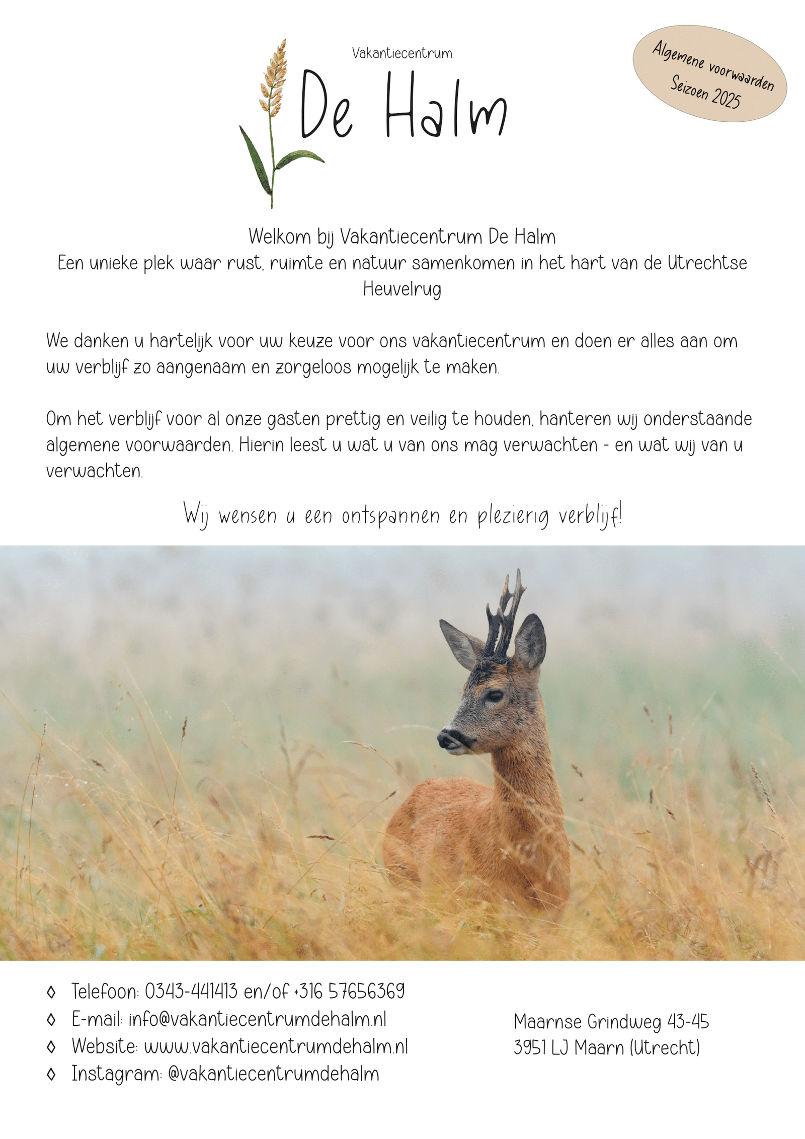 Media De Halm Algemene Voorwaarden 01